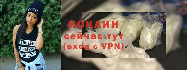 твердый Богородицк