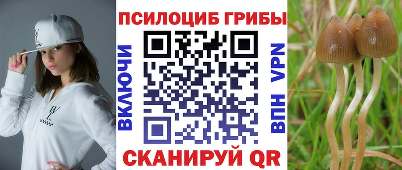 Галлюциногенные грибы мицелий  Химки 