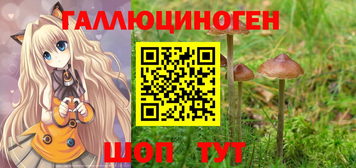 Псилоцибиновые грибы прущие грибы Химки