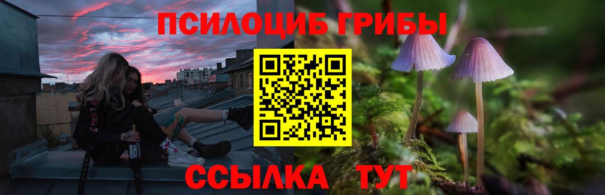 Псилоцибиновые грибы MAGIC MUSHROOMS  купить   Химки  Вход с VPN 